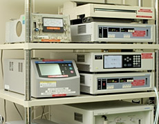 Exhaust gas analyzer